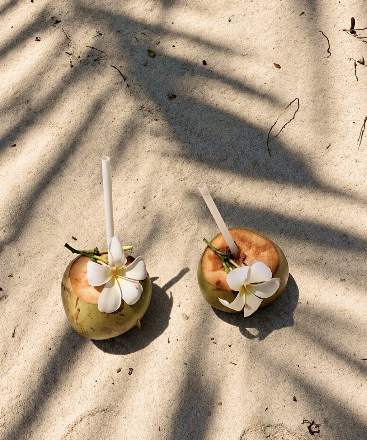 The Mediterranean, considered